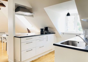 aday - City Central Mansion - 4 bedroom apartment in Aalborg