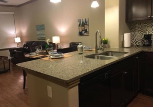 Gorgeous Pool View 1 Bedroom/1 Bath Condo in The in Spring