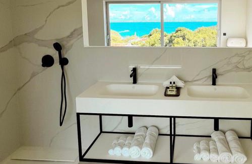 Anse Marcel Apartment | Appartement 2 Niveaux de Luxe avec Terrasse aux Caraïbes - FR-1-734-69