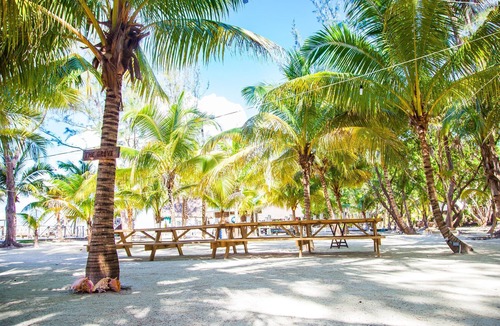 Thatch Caye Resort | Breezy Overwater Bungalow w/Incredible Views - Private Patio & A/C Included