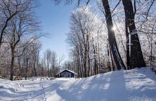 Dent Cabin | Private Cabin on Dead Lake-14 acres, dog friendly, hard sand beach, comfy beds