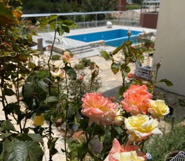 Patara House | Rose Hotel B&B