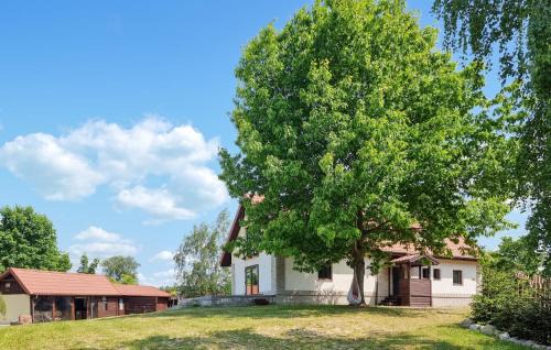 7 Bedroom Beach Front Home In Szalstry in Szałstry