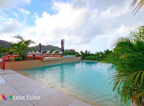 Appartement 2 Niveaux de Luxe avec Terrasse aux Caraïbes - FR-1-734-69