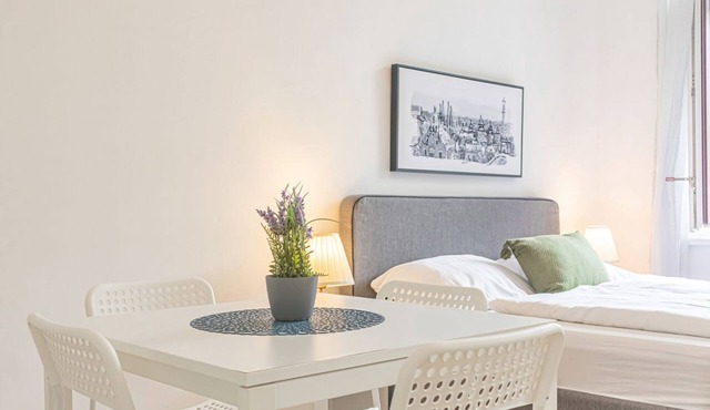 Attractive 2 BR Apt. near Vienna AKH Ideal for All in Vienna