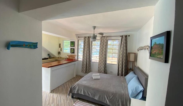 Bilimbi Beachfront Farmstay w Pool in Maunabo