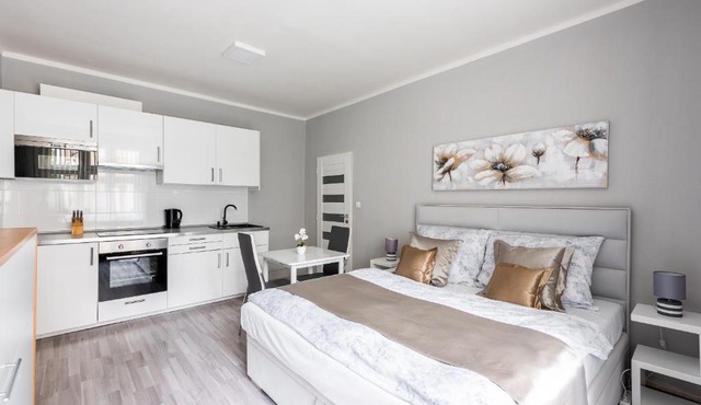 City apartment Slezská in Prague