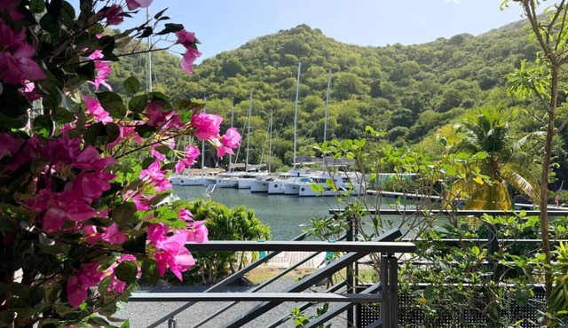 Coeur de Marina, Anse Marcel Beach within Walking Distance, full AC
