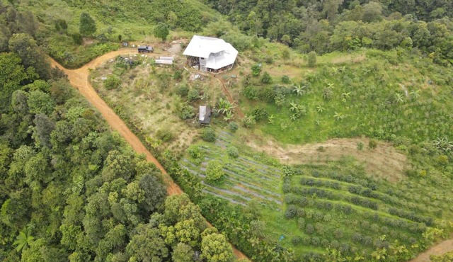 Coffee Farmstay and Roastery in Sumatra, offgrid, authentic, natural in North Sumatra