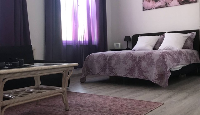 Comfortable apartment Toison d’or in Brussels