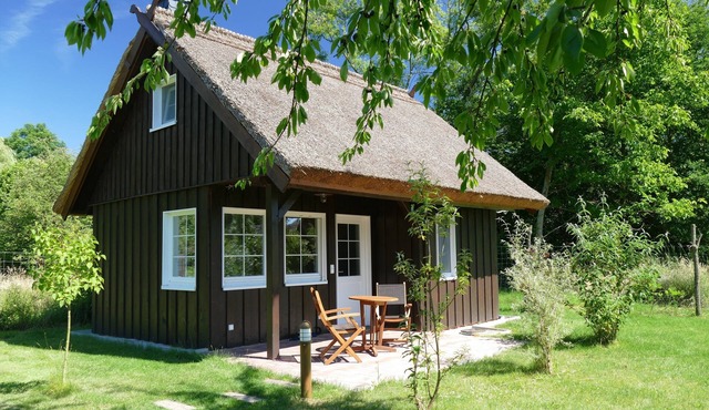 Das Bienenhaus: Reetdachhäuschen mit Kamin auf großem Wassergrundstück in Lehde in Lübbenau/Spreewald