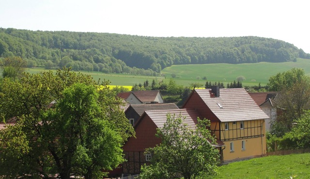 Family-friendly spacious and luxurious detached vacation home for 8 to 9 people in Lenterode