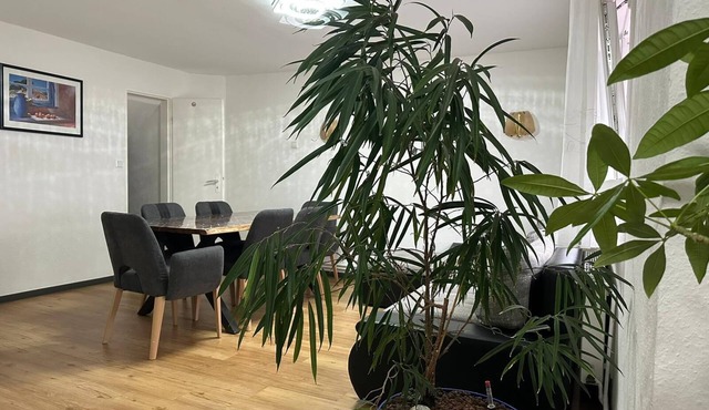 Ferien Haus Formidable in Nidderau