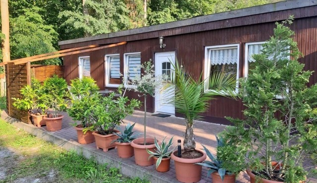 Ferienhaus "Waldhäuschen am Waldesrand" in Wernigerode