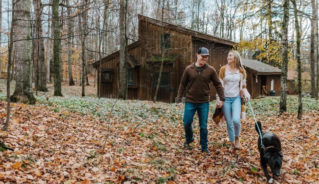 Finnwood - A Pet Friendly Woodland Retreat in Suttons Bay