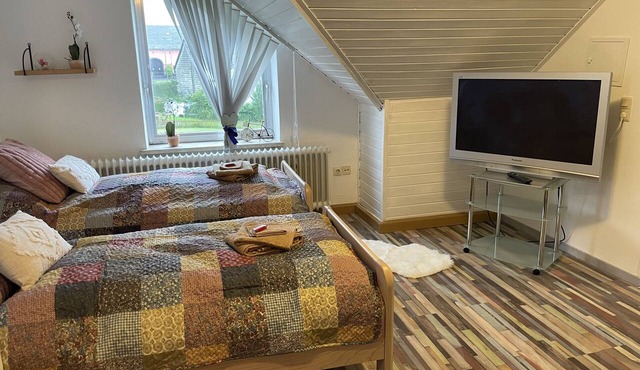 Flat kitchen bathroom garden view in Reinsfeld