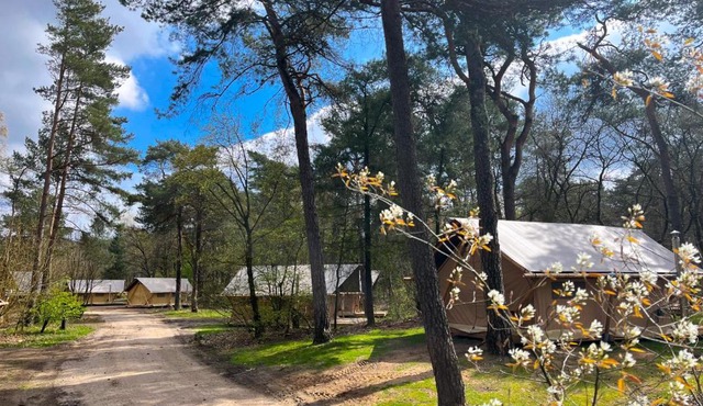 Huttopia De Veluwe in Kootwijk