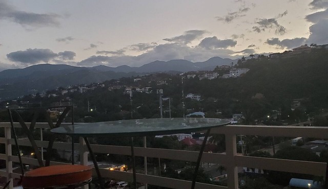 "Le Luxe" Penthouse 2 BR condo w/AC, WiFi, complimentary Netflix & 24/7 sec in Kingston