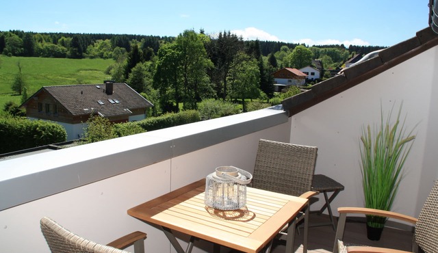 LOGE 01 | Bright, high-quality 3-room vacation apartment with a stunning view in Braunlage