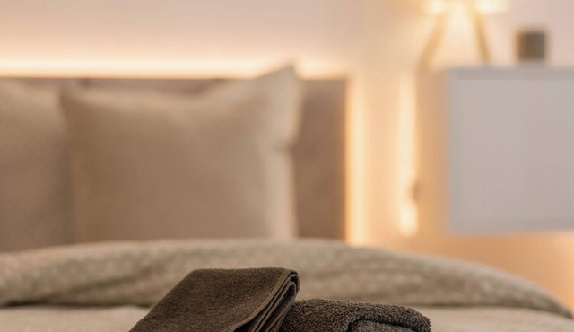Modern old town barrier-free apartment with free parking and WiFi in Erfurt
