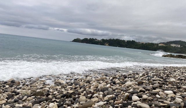 Nice comfortable in Kingston