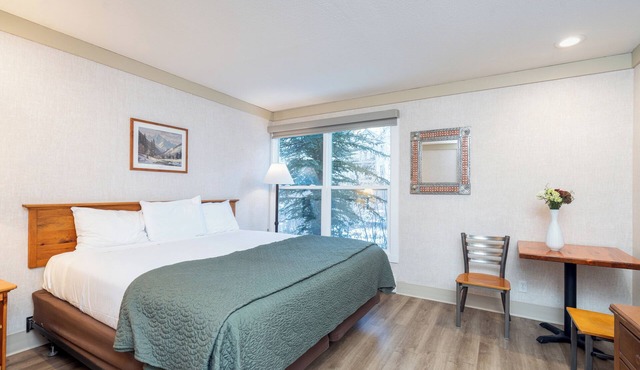 Pet-Friendly Room With King Bed on the River in Telluride