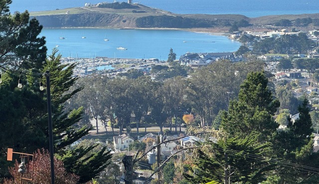 Private Studio , spectacular Ocean View , bathroom , kitchenette, Very Quiet in Half Moon Bay