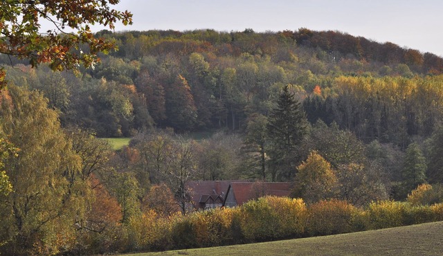 Romantic located, historic water mill in Silberbachtal in Horn-Bad Meinberg