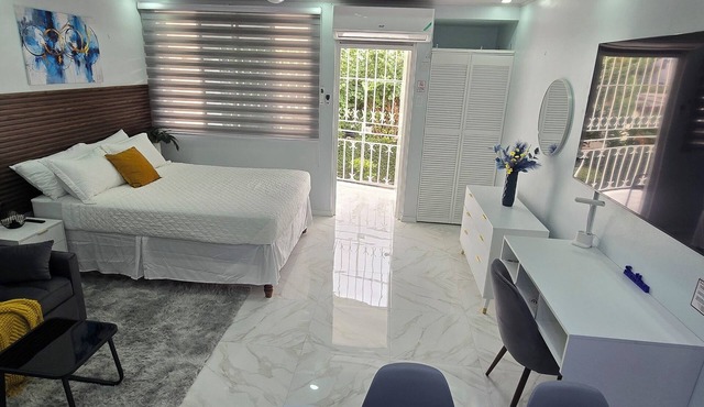 Safe Haven Studio apartment with AC in vibrant Kingston in Kingston