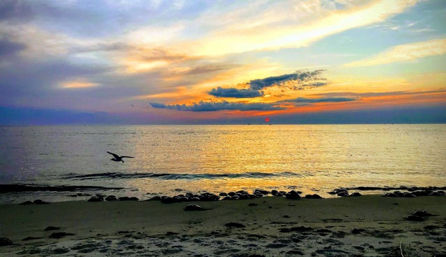 Shore to Please. Big family, pet friendly beach house. in North Cape May