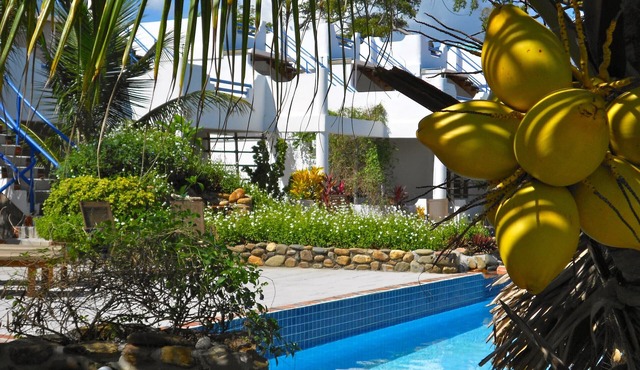 Spacious Ground Level Rancher with Easy Access to the Pool and Ocean in Sittee Point (South Hopkins)
