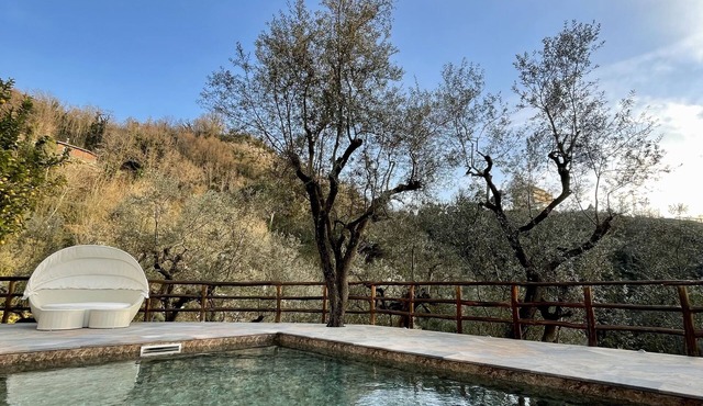 The lemon grove of the Aprea family in Sorrento