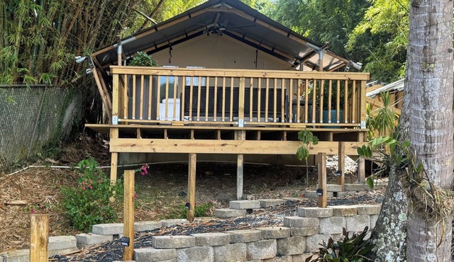 The ONLY glamping site in the New Millennium Forest in San Juan, PR in San Juan
