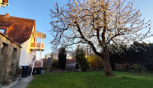 Vacation home for families/groups with 2x sauna, oven and large garden with barbecue in Barchfeld