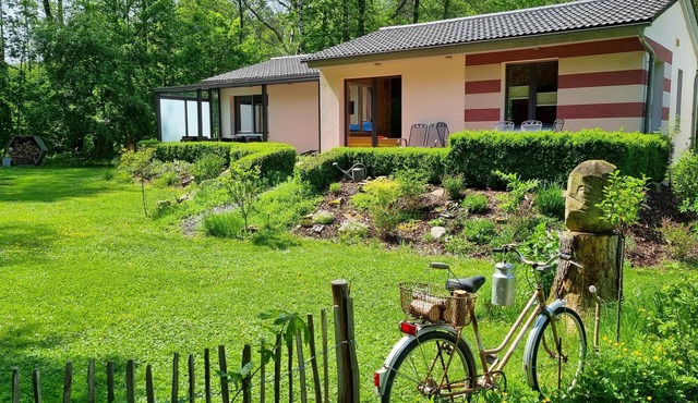 Vacation home Rehblick, directly in nature, with reading room and 2 terraces in Friedrichroda