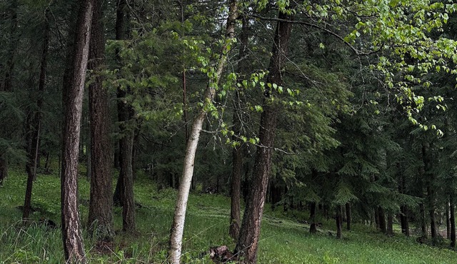 Welcome to our countryside retreat. in Quesnel