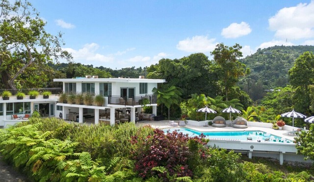 Wow! Private Mountain Estate ! in Guaynabo