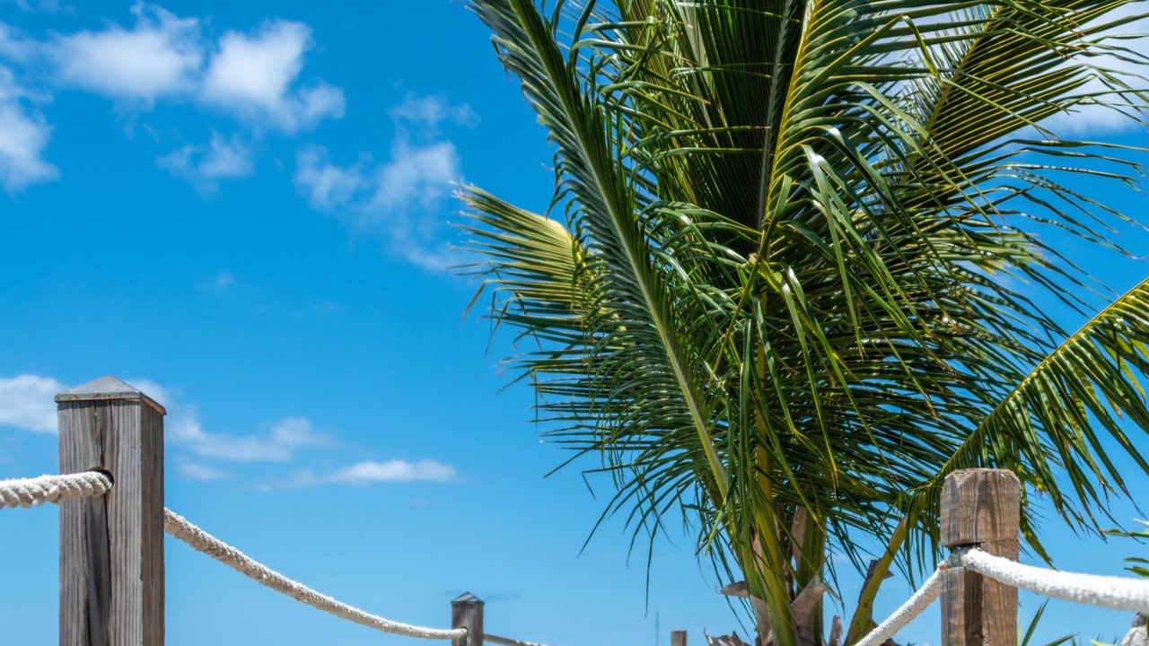 Photo of Outdoor in Grand Case