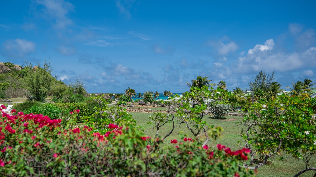 Photo of Outdoor in Orient Bay