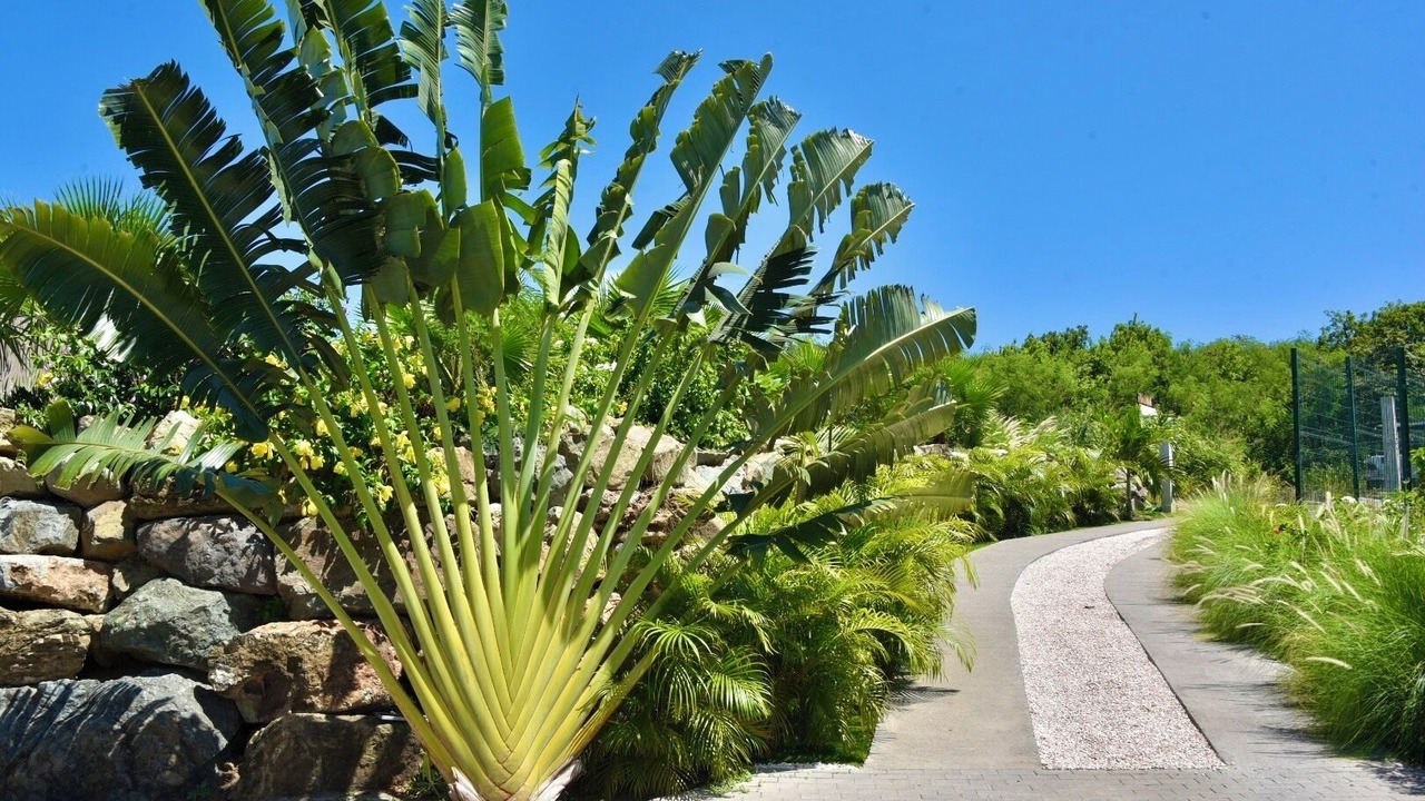 Photo of Outdoor in Orient Bay