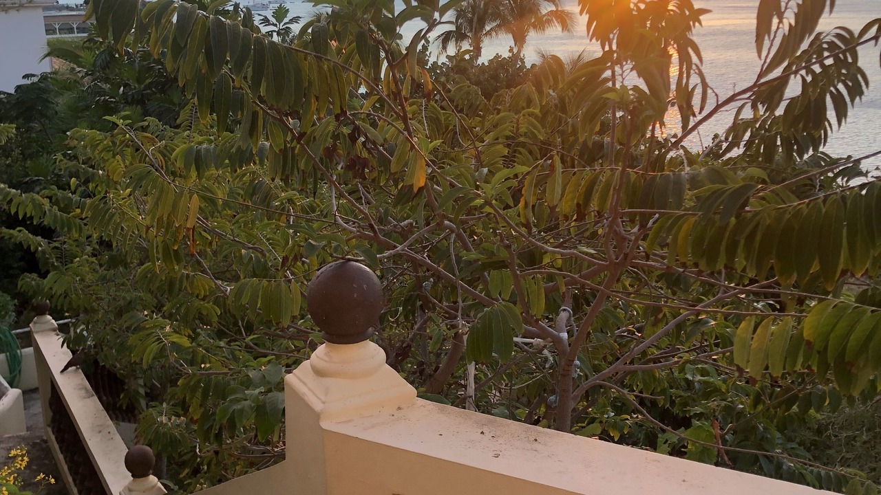 Photo of Outdoor in Grand Case