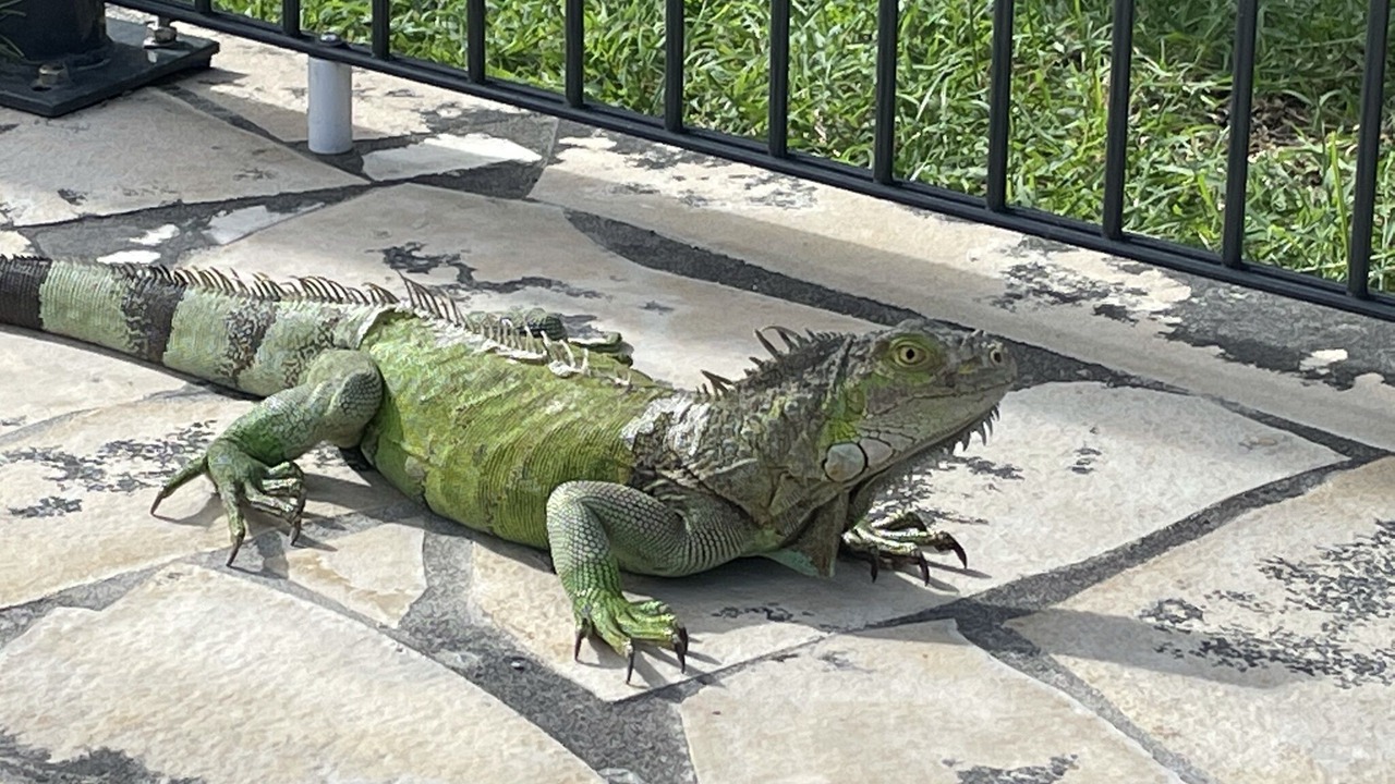 Photo of Outdoor in Orient Bay