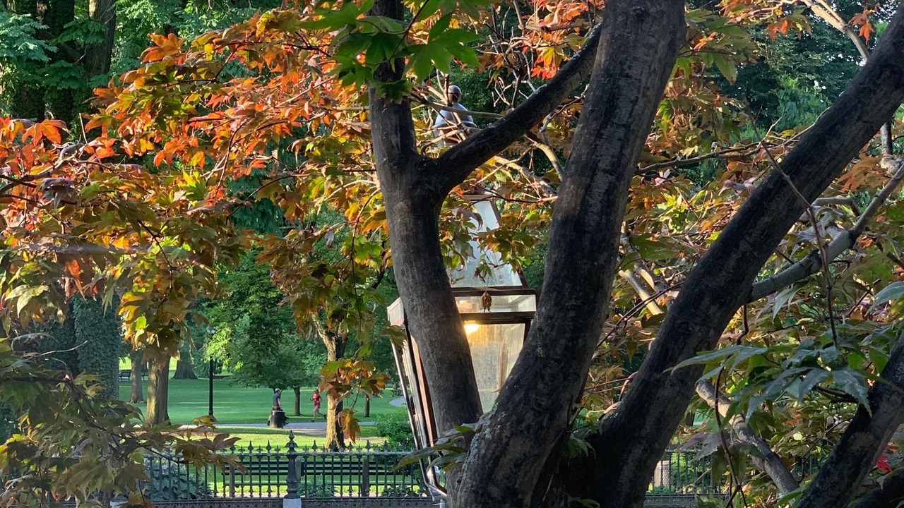 Photo of Outdoor in Beacon Hill