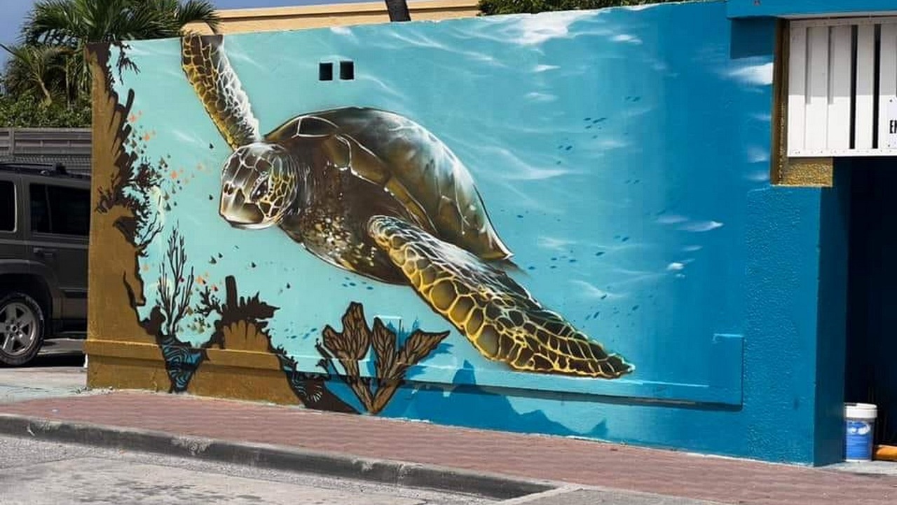 Photo of Outdoor in Marigot