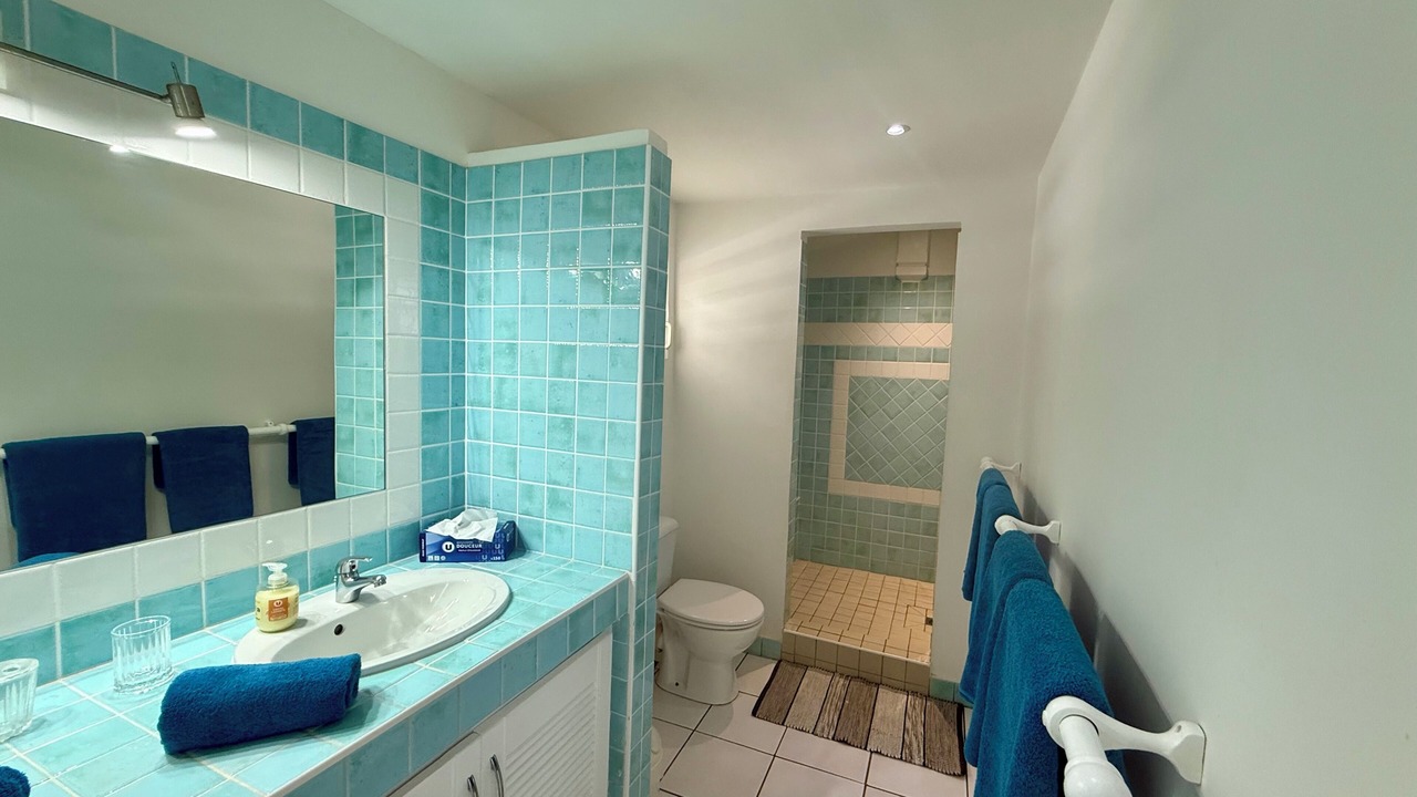 Photo of Bathroom in Grand Case