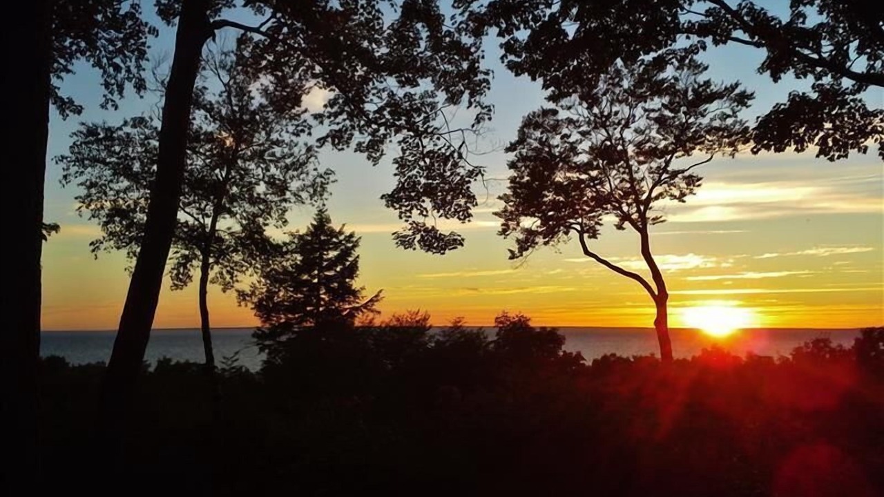 Photo of Others in Harbor Springs