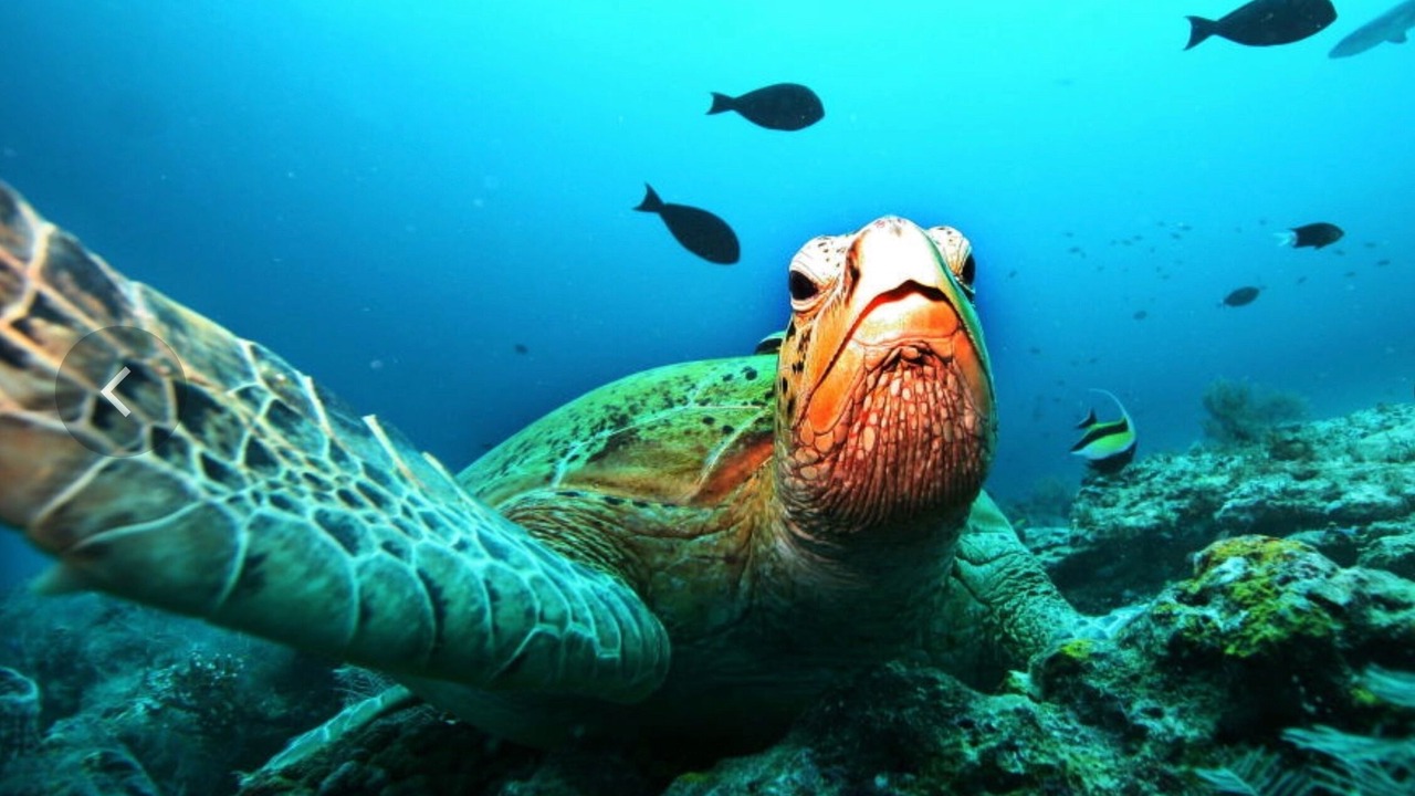 Photo of Others in Orient Bay