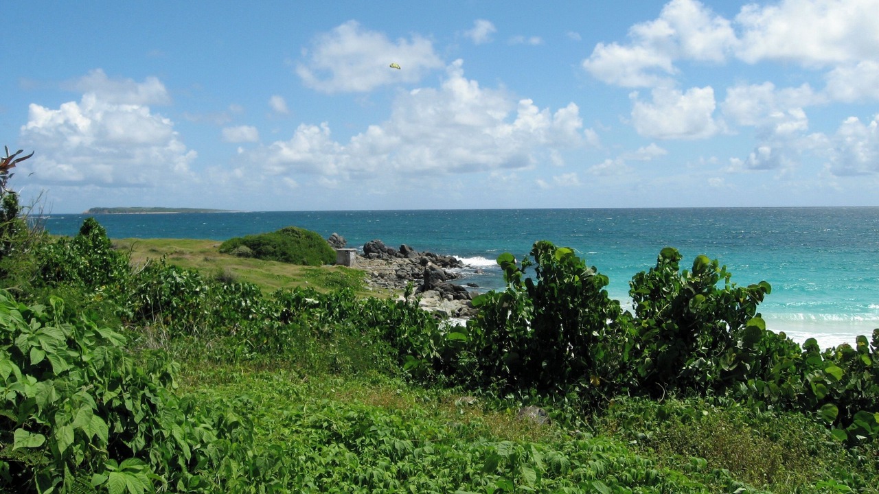 Photo of Others in Orient Bay