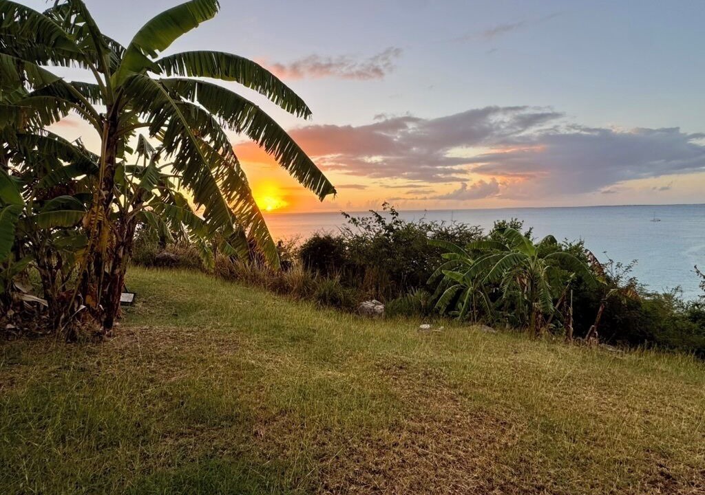 Photo of Others in Grand Case