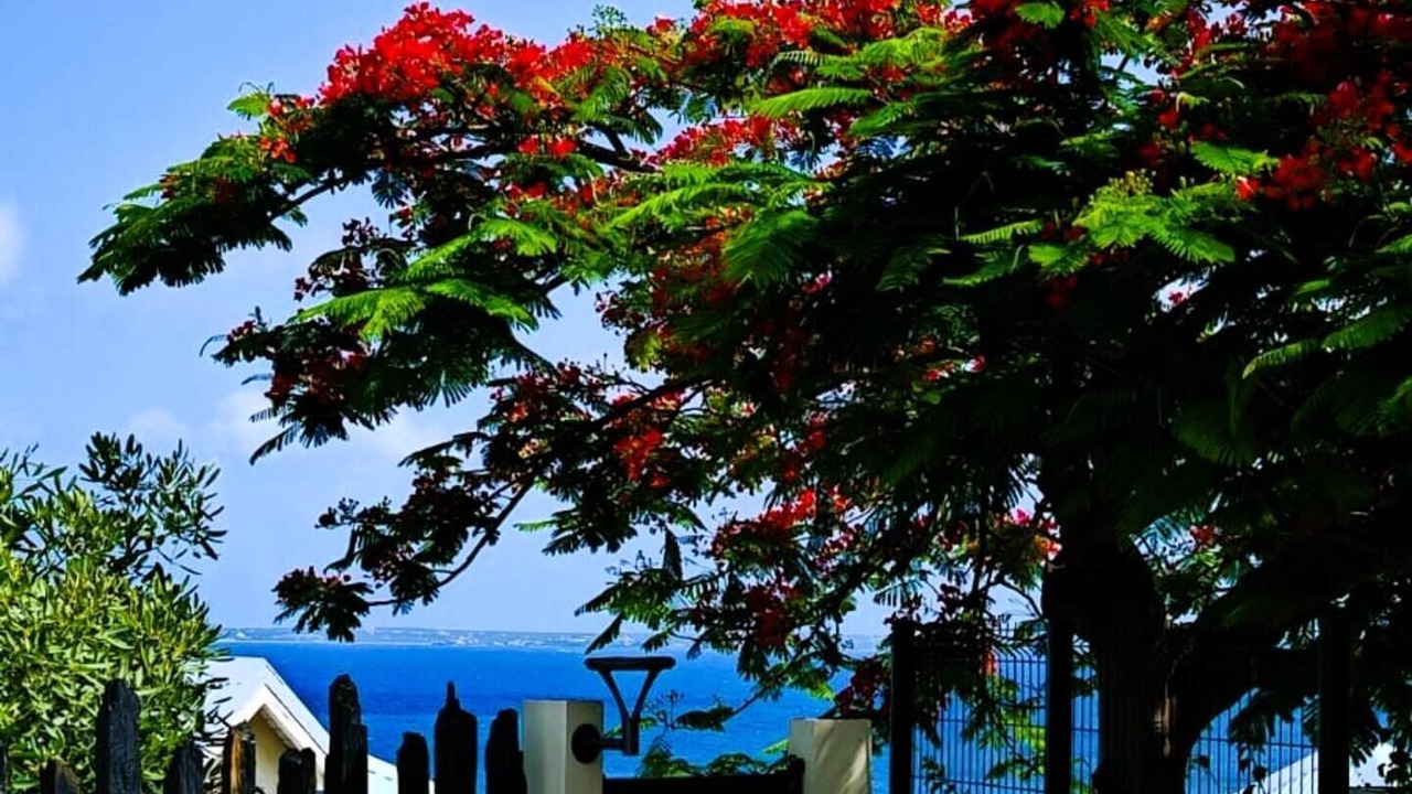 Photo of Outdoor in Grand Case